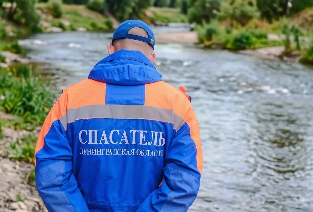 Обложка © VK / Аварийно-спасательная служба ЛО