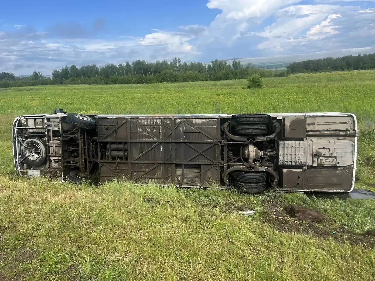 Автобус с детьми попал в ДТП в Красноярском крае. Фото © Telegram / МВД 24