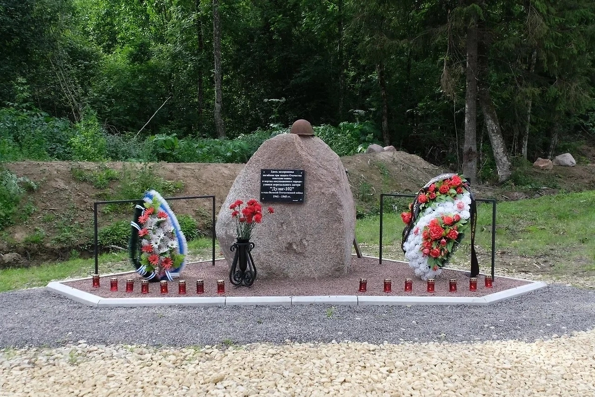 Обложка © ВК/СУ СК России по Ленинградской области