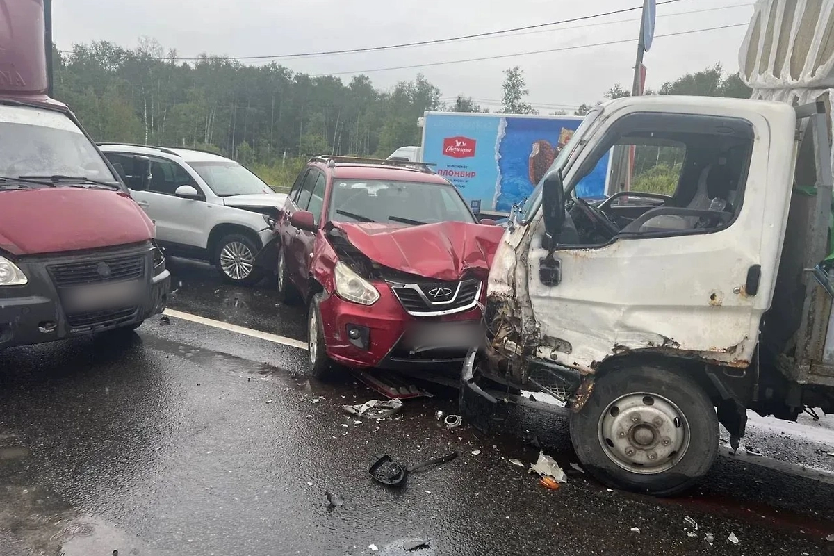 Обложка © Telegram / Новая Москва / ТиНАО