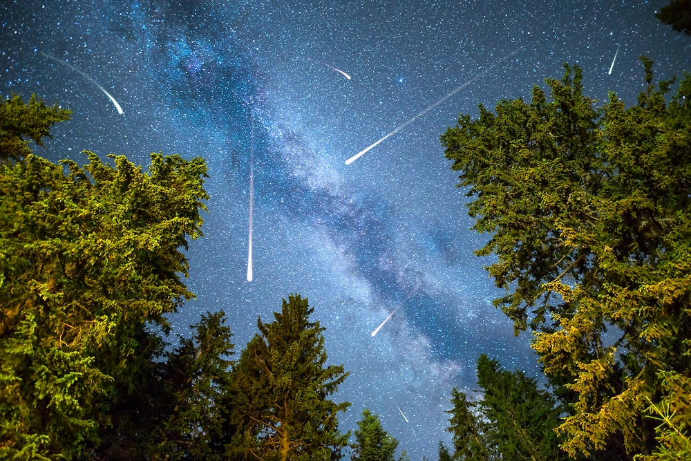 Обложка © Shutterstock / FOTODOM / Belish