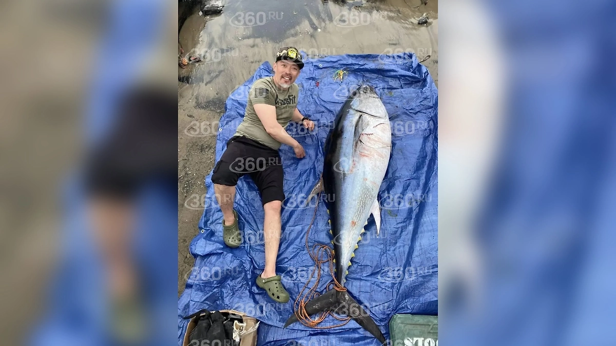 На Сахалине рыбак выловил тунца весом около 100 кг и ростом с себя. Фото © 360.ru