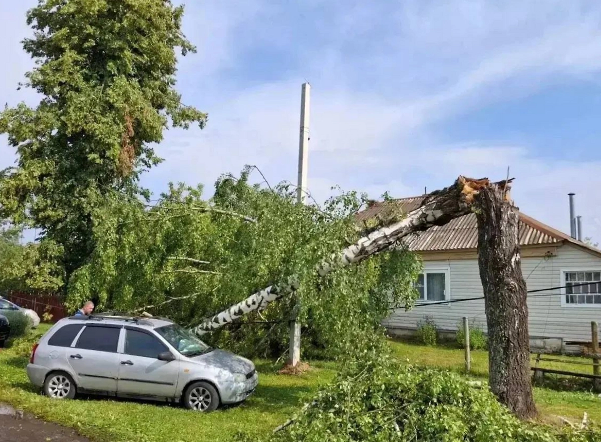 Обложка © Telegram / Россети