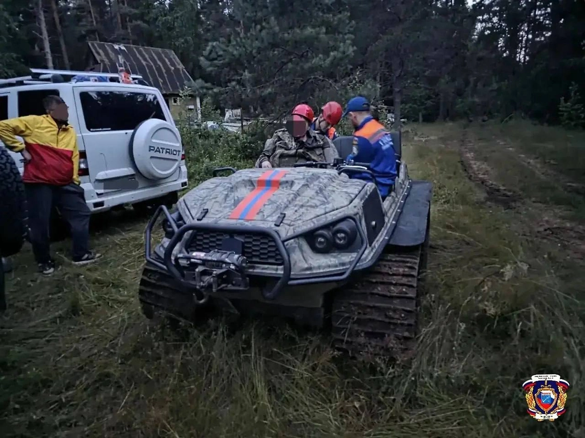 Обложка © Telegram / Правопорядок и безопасность ЛО