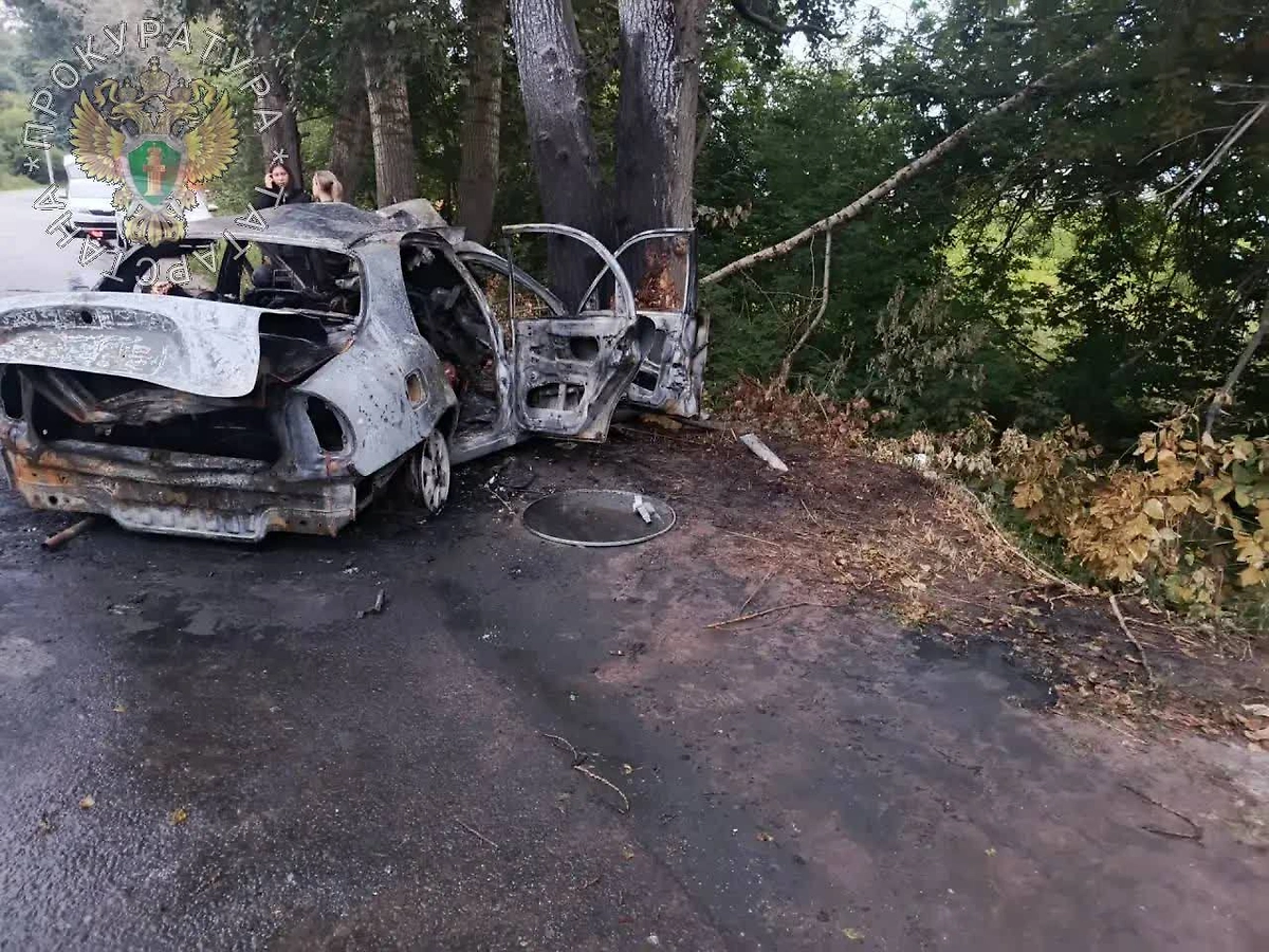 Шесть человек не выжили после ДТП с «Шевроле» в Зеленодольске. Фото © Telegram / Прокуратура ТАТАРСТАНА
