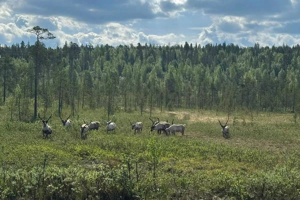 Обложка © Telegram / TraVel2you.News