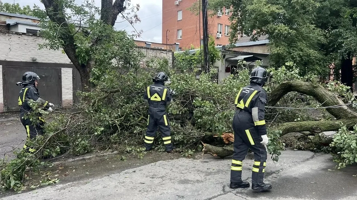 Обложка © Макс / Александр Скрябин