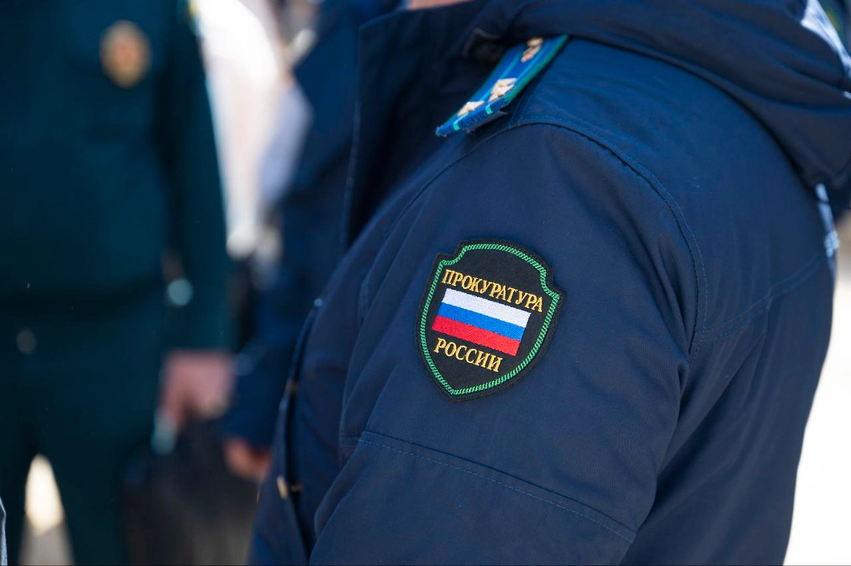 Обложка © Telegram / Прокуратура Московской области