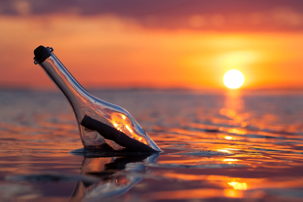Обложка © Shutterstock / FOTODOM / LN team