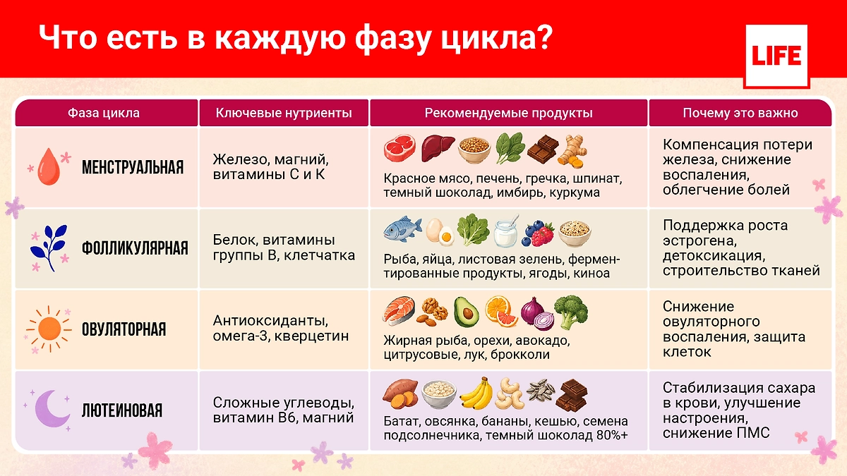 Что есть в разные фазы цикла и как питание влияет на гормональный баланс? Инфографика © Life.ru 