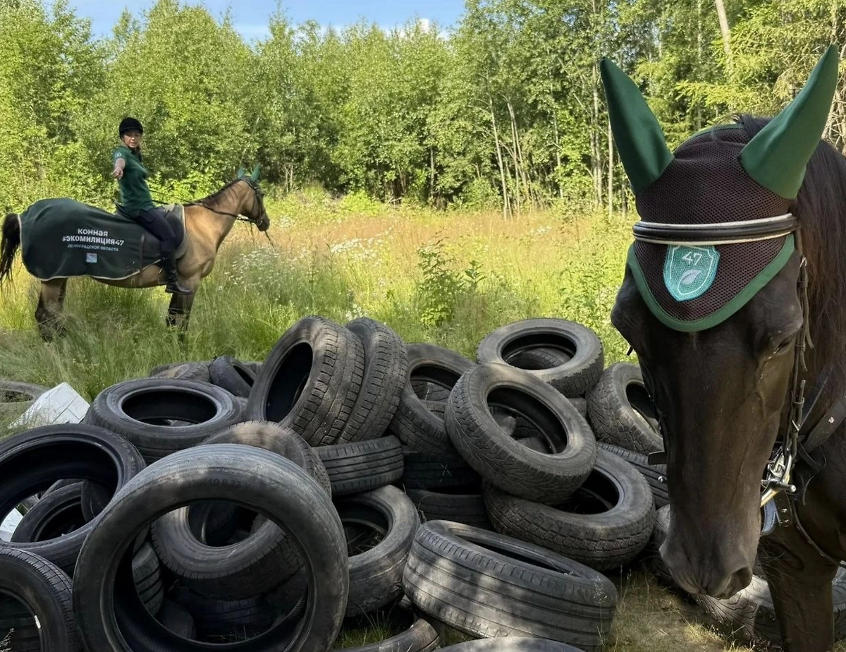 Обложка © Правительство Ленинградской области