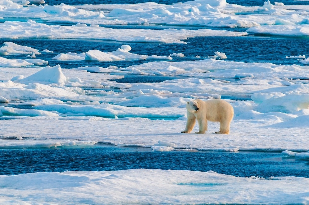 Обложка © Shutterstock / FOTODOM / Don Landwehrle