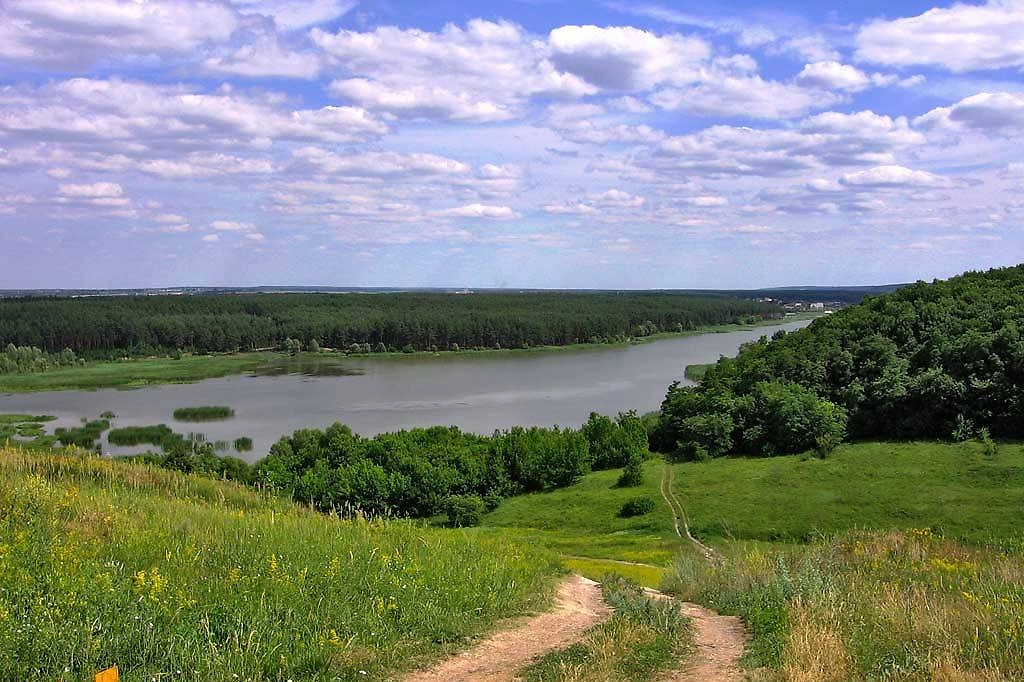 Обложка © Wikipedia / Осадчий Сергей
