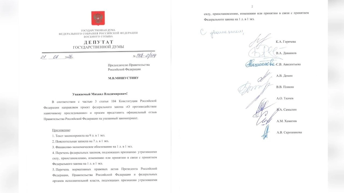 Правки законопроекта о защите жертв сталкинга. Фото © Telegram / Горячева ДЕЛО говорит