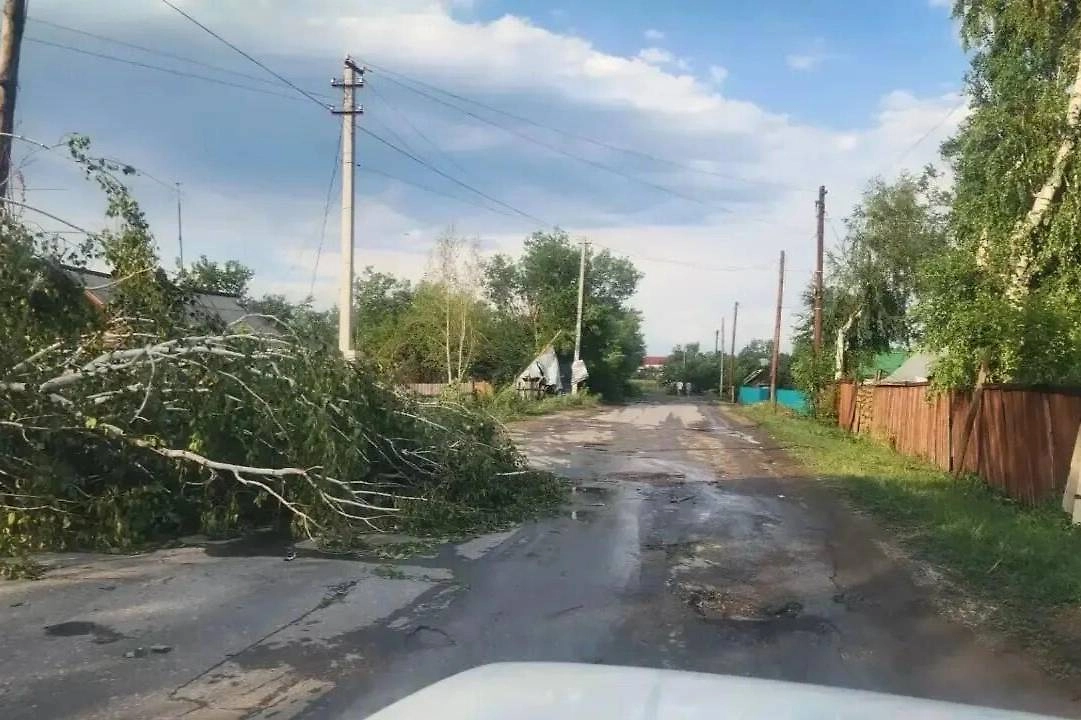 Обложка © ГУ МЧС России по Алтайскому краю