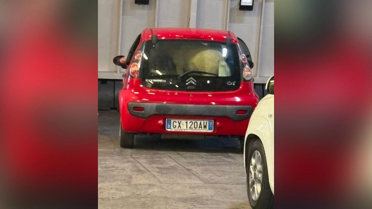 В Италии пони везли в крошечной машине на пароме. Обложка © Instagram (признан экстремистской организацией и запрещён на территории Российской Федерации)/ enricorizziofficial