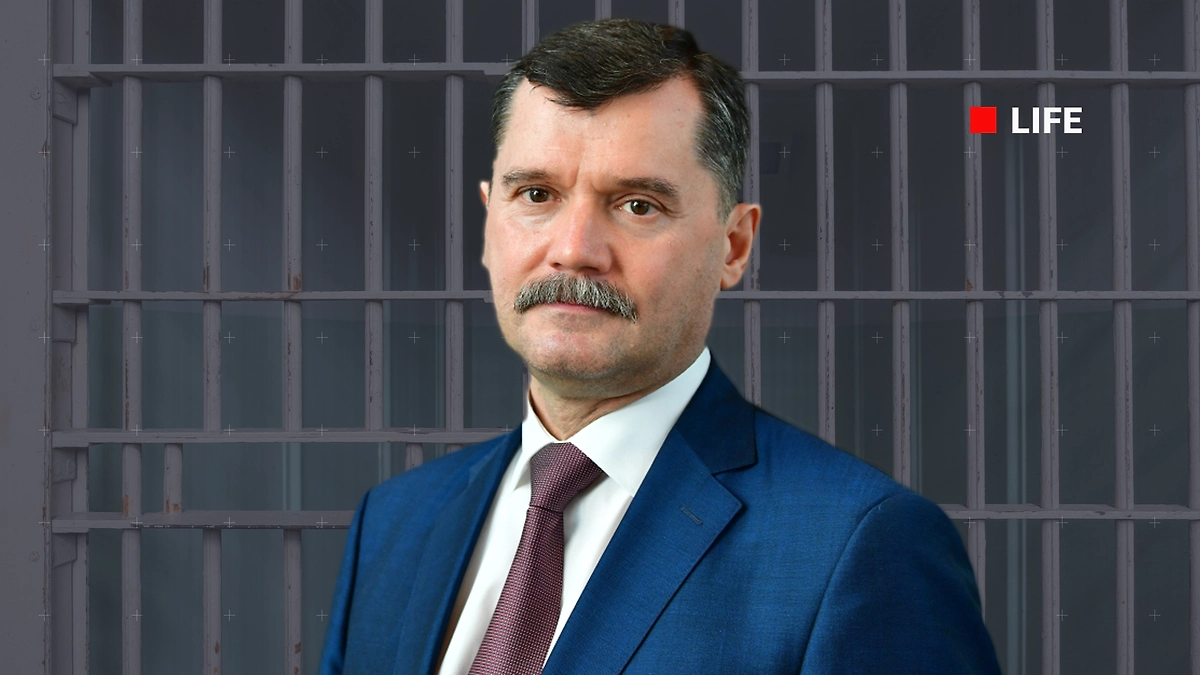 «Неуязвимый» 14 лет: почему скандалы отскакивали от Нерадько, а теперь он в СИЗО? Обложка © Коллаж © Life.ru © Фото © РИА Новости / Алексей Майшев © Shutterstock / FOTODOM / TaraPatta