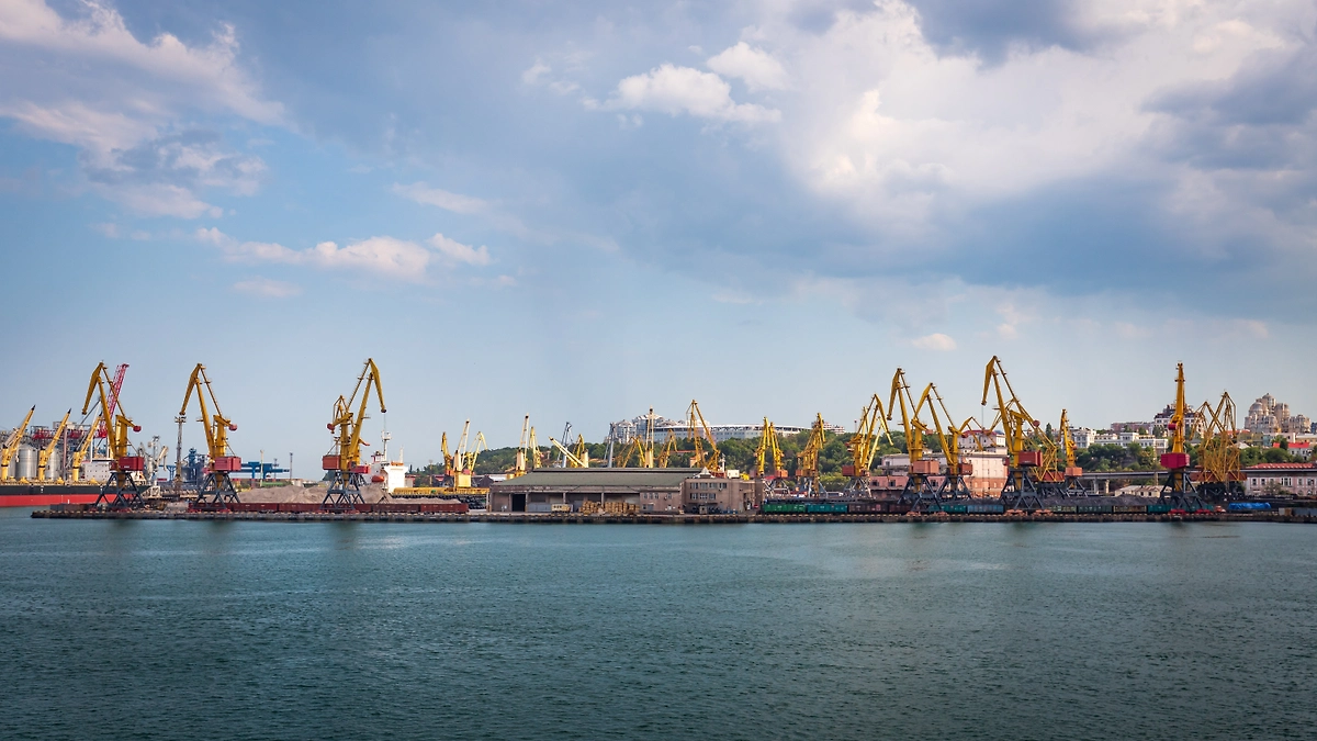 Обложка © Shutterstock / FOTODOM / Michal Petlach
