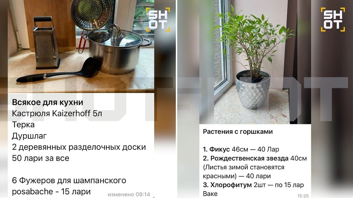 Сын Шевчука распродал вещи и уехал в Аргентину. Фото © SHOТ