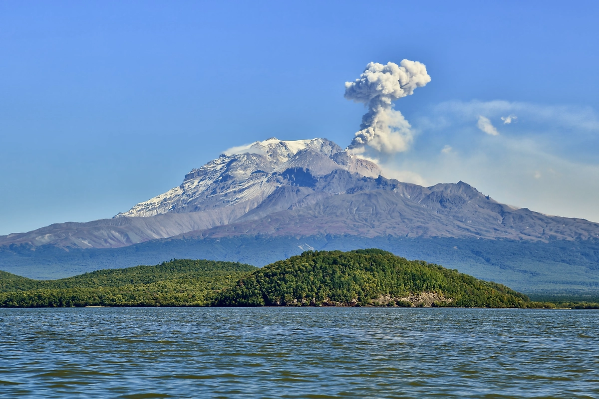 Обложка © Shutterstock / FOTODOM / GENNADY TEPLITSKIY