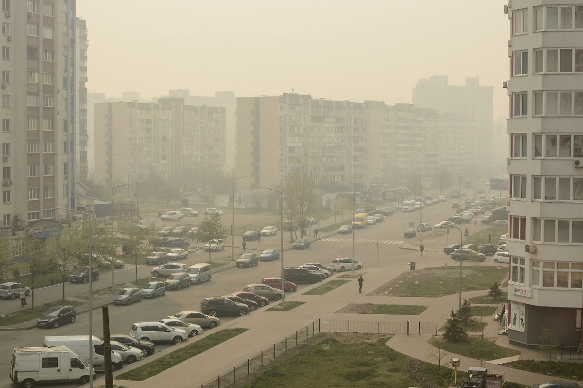 Обложка © Shutterstock / FOTODOM / bond.aruke25