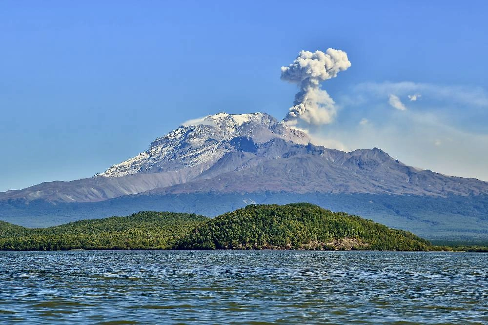 Обложка © Shutterstock / FOTODOM / GENNADY TEPLITSKIY