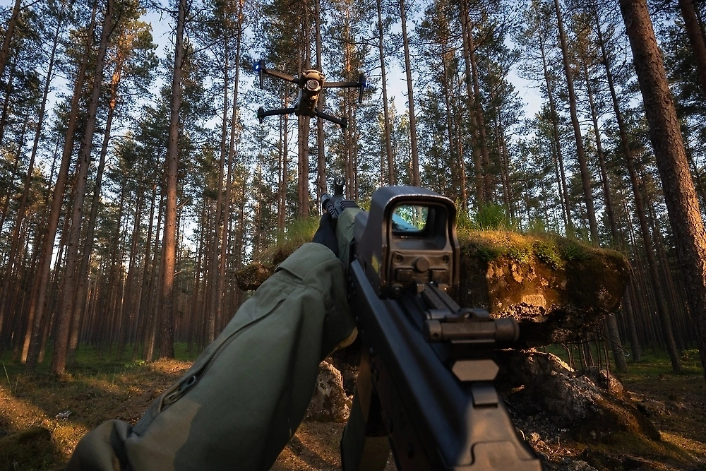 Обложка © Shutterstock / FOTODOM / Dmitri T