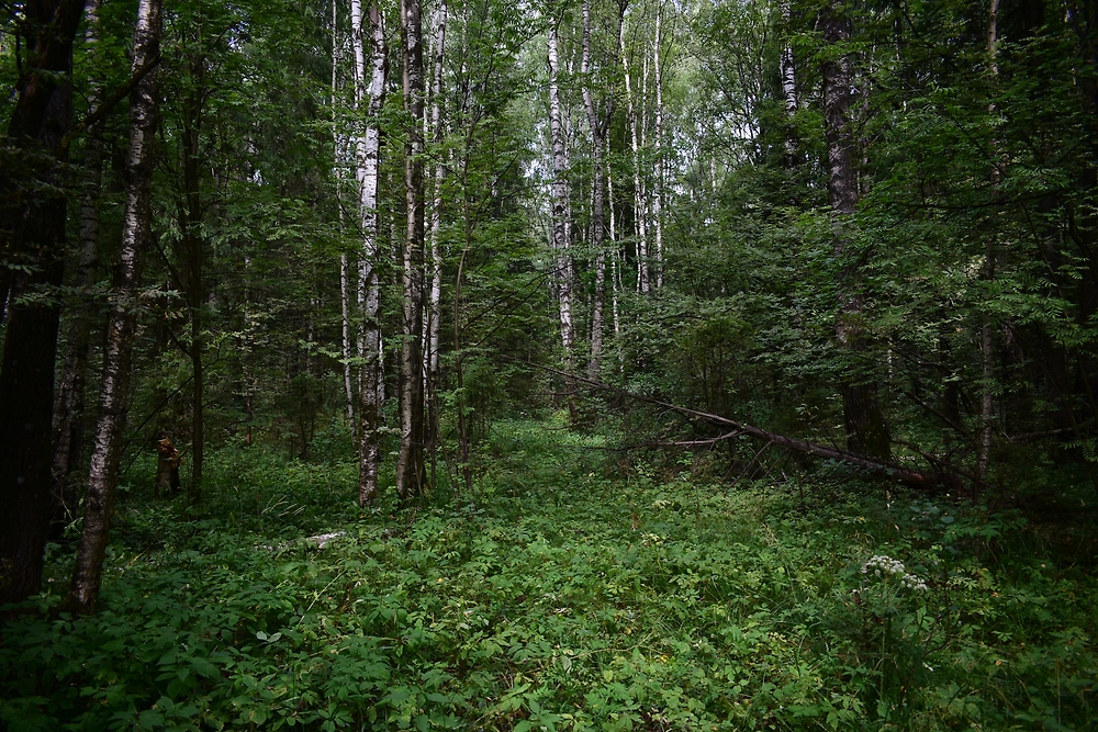 Обложка © Shutterstock / FOTODOM /Muito. Не является фотографией с места событий