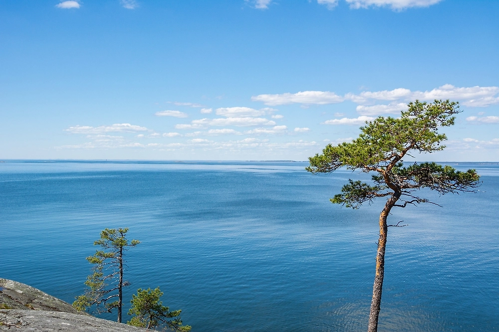 Обложка © Shutterstock / FOTODOM / Hivaka