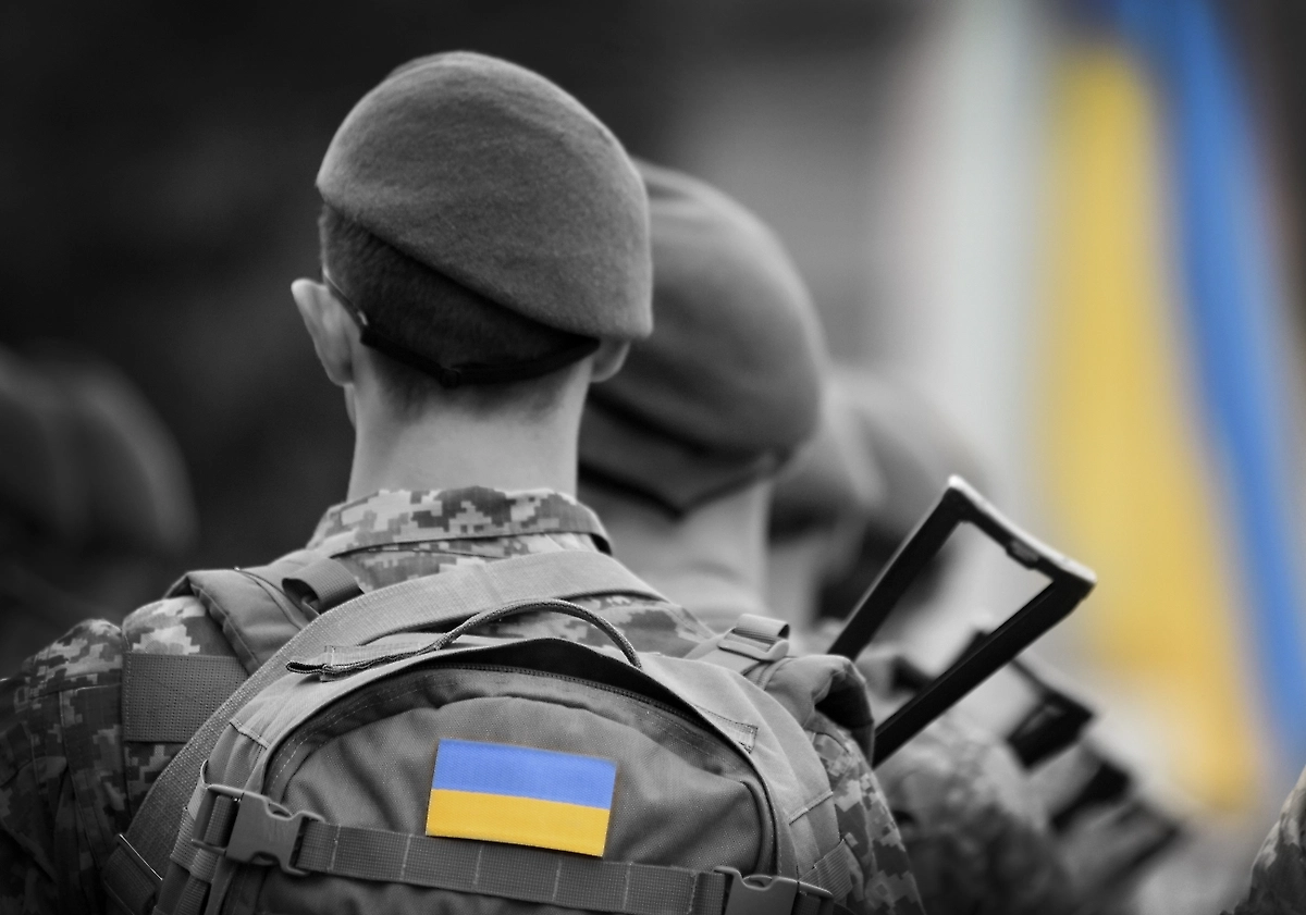 Обложка © Shutterstock / FOTODOM / Bumble Dee