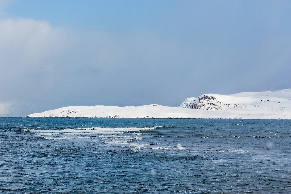 Стоянка на Яне отодвинула покорение Арктики на тысячи лет. Фото © Shutterstock / FOTODOM / Crazy nook