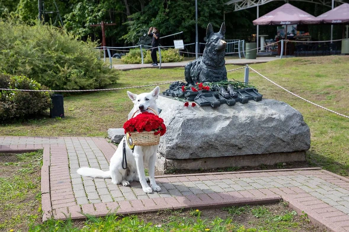 Обложка © Telegram/МуZей Победы