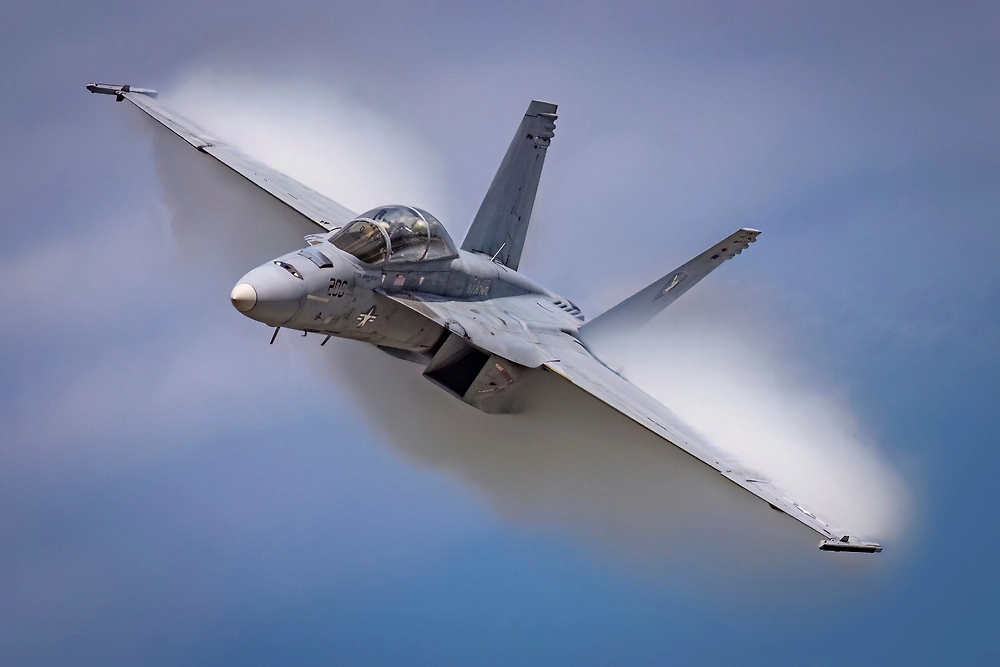 Обложка © Shutterstock / FOTODOM / BlueBarronPhoto