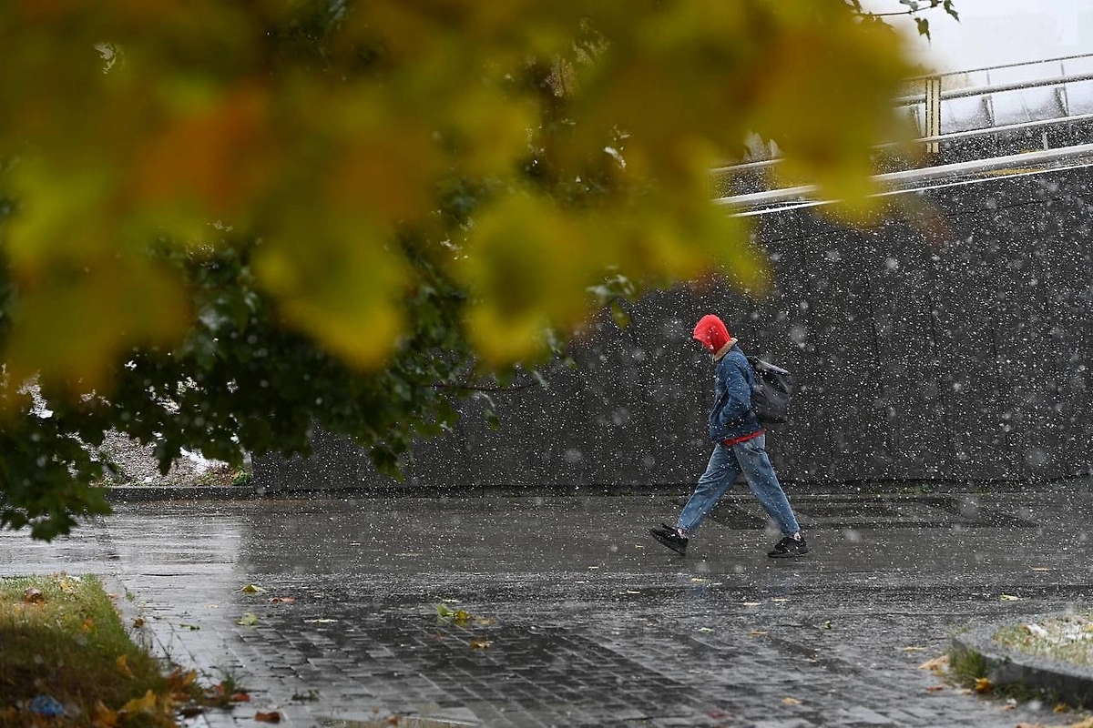 Обложка © Life.ru