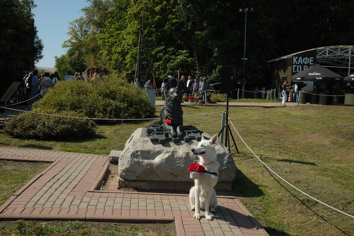 Фото предоставлено организаторами