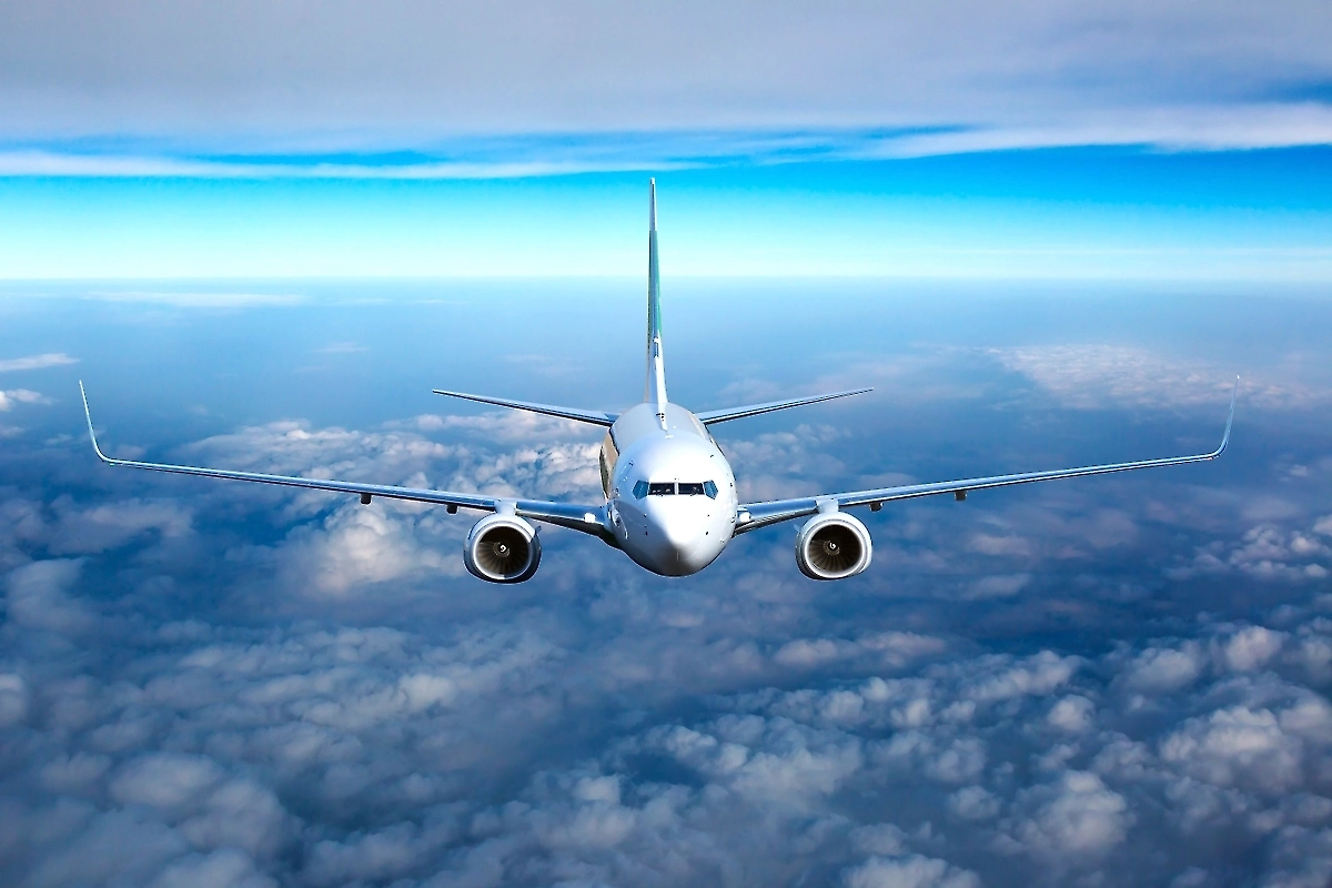 Обложка © Shutterstock / FOTODOM / Skycolors