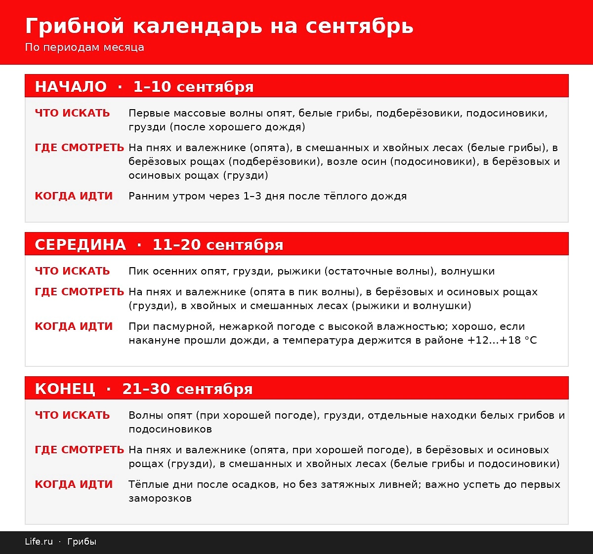 Грибной календарь на сентябрь 2026. ИИ-иллюстрация: создано редакцией Life.ru с использованием ChatGPT (OpenAI)
