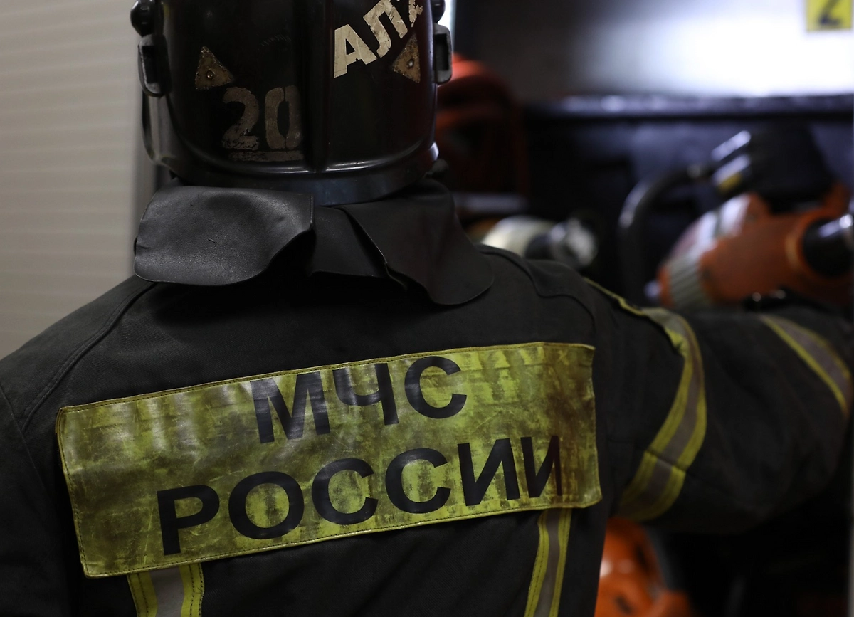 Обложка © Life.ru