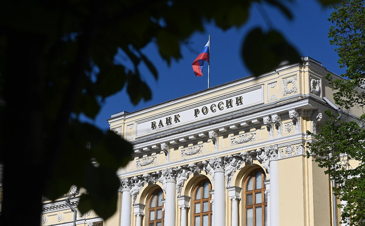 Обложка © Life.ru