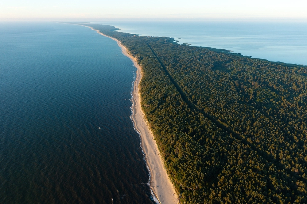 Обложка © Shutterstock / FOTODOM / photopixel