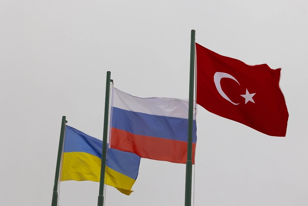 Обложка © Shutterstock / FOTODOM / Sener Dagasan