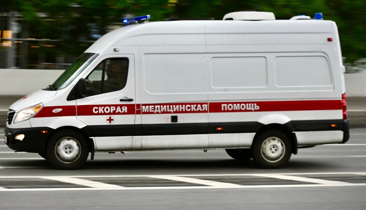 Обложка © Life.ru