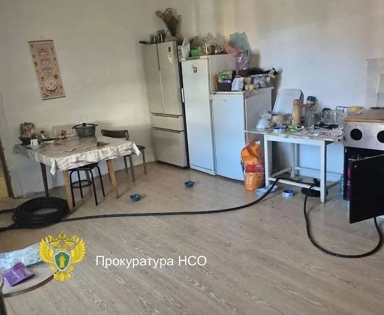 Мужчина протянул газовый шлаг, чтобы убить супругу. Фото © Telegram/ Прокуратура Новосибирской области