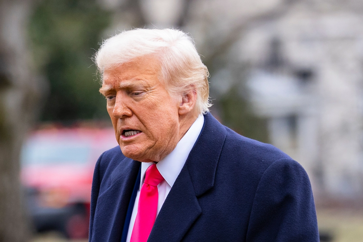 Дональд Трамп. Обложка © Shutterstock / FOTODOM / Joshua Sukoff