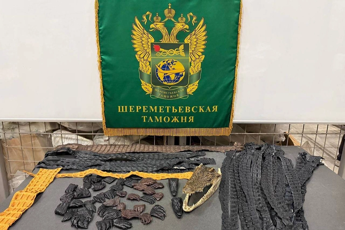 Обложка © ФТС России