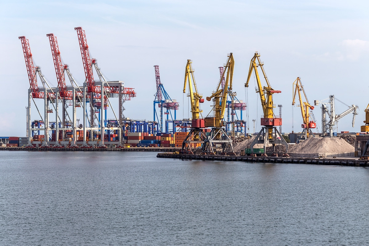 Обложка © Shutterstock / FOTODOM / A_Lesik