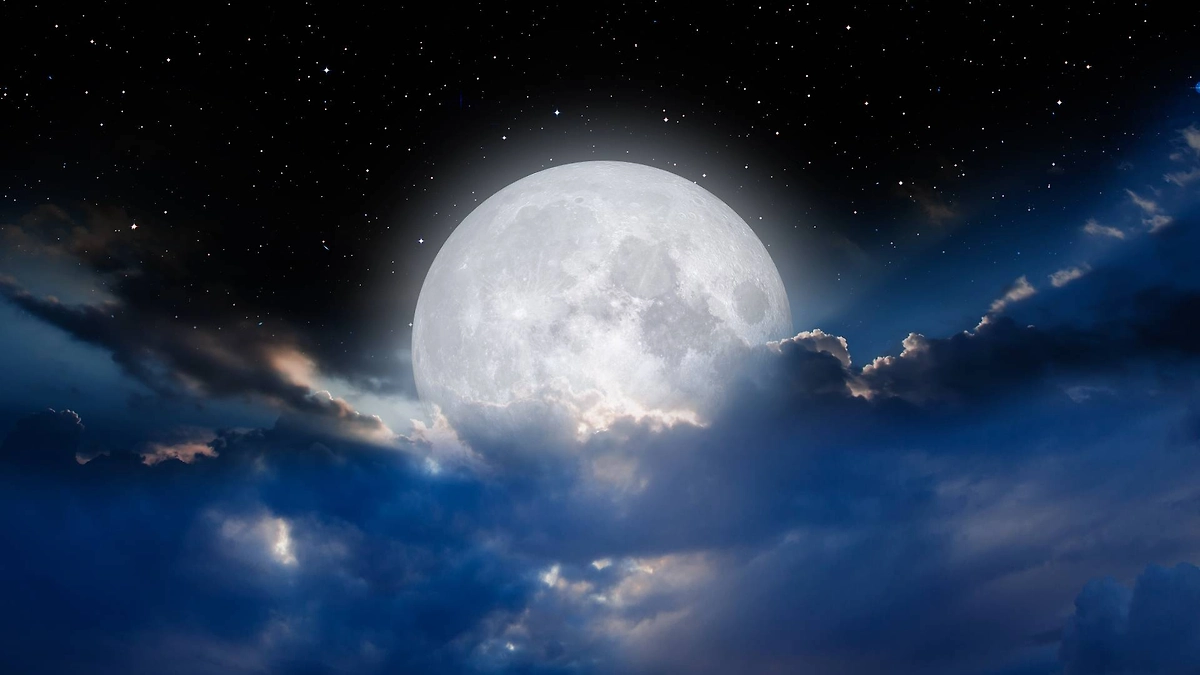 Фото © Shutterstock / FOTODOM / muratart