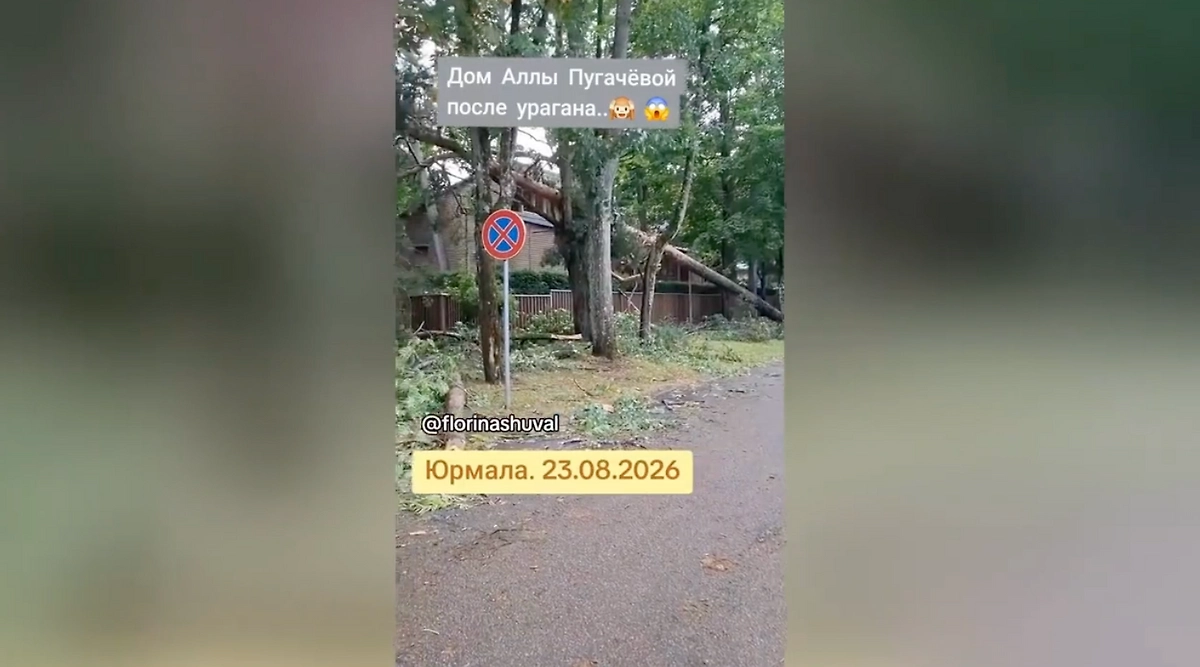 Обложка © Instagram (признан экстремистской организацией и запрещён на территории Российской Федерации) / florinashuval
