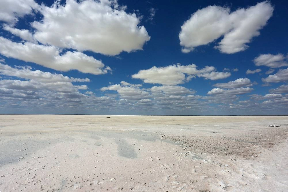 Эльтон: соляные кристаллы и цветная вода озера. Фото © ТАСС / Дмитрий Рогулин