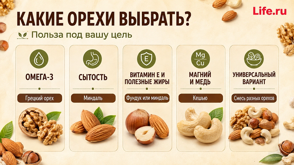Сколько орехов можно есть в день без вреда для фигуры? ИИ-иллюстрация: создано редакцией Life.ru с использованием ChatGPT (OpenAI)